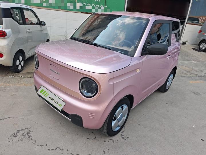 2024 Panda mini 200km Endurance Bear