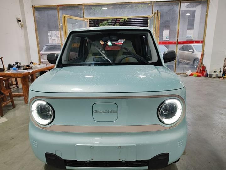 2023 Panda mini 200km Endurance Bear photo 2