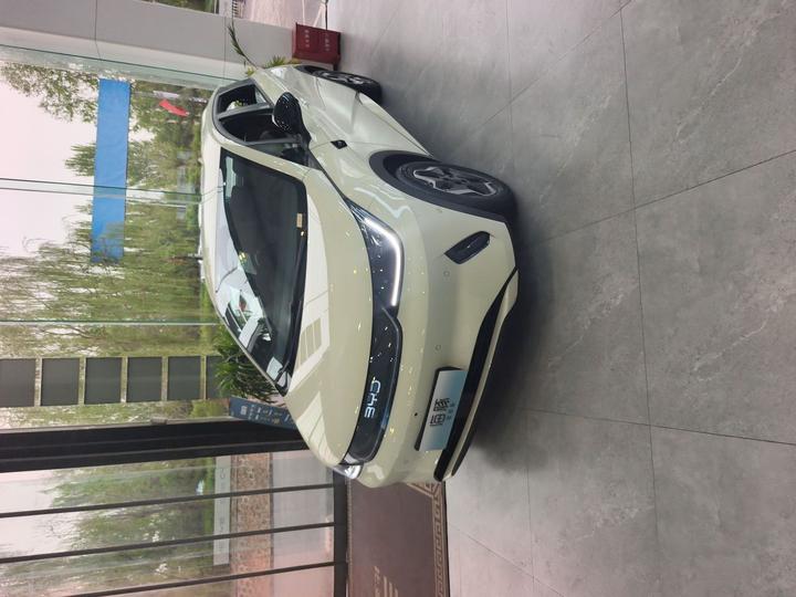 Dolphin 2025 ADAS 420km photo 3