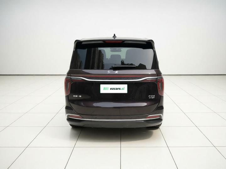 HQ9 PHEV 2024 2.0T AWD Business photo 5
