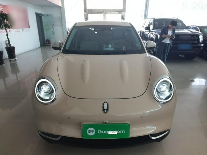 Good Cat 2021 400km Standard Range LFP photo 2