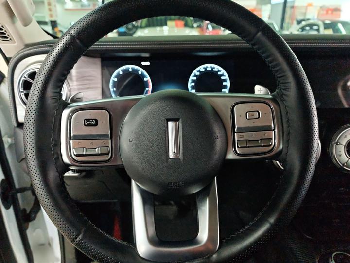 300 2021 Off-road 2.0T photo 3