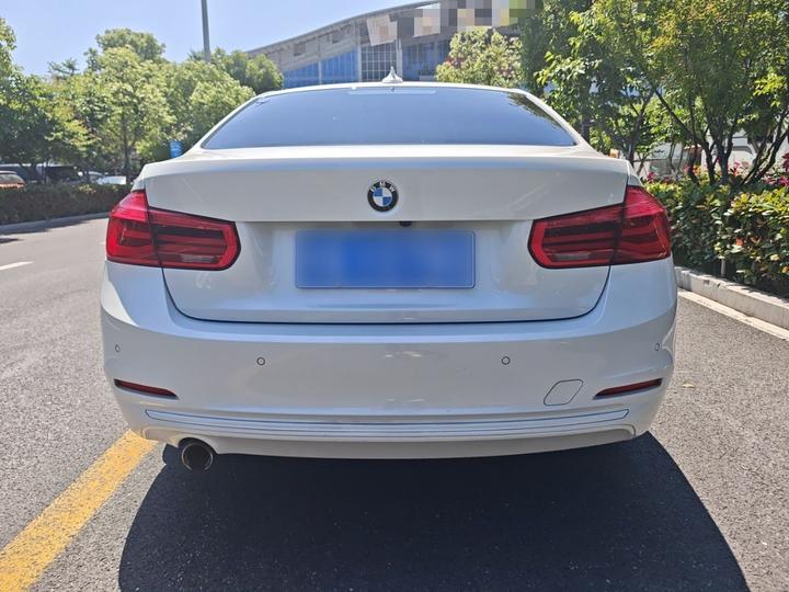 3 Series 2018 318i photo 3