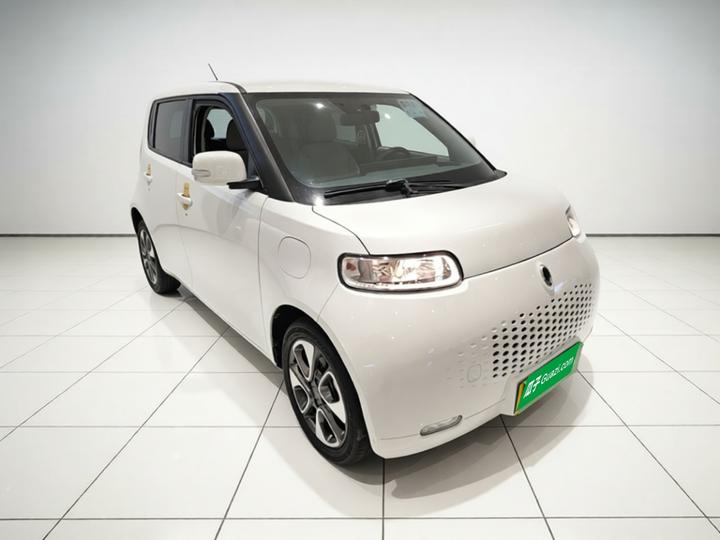 2020 305km Luxury photo 3
