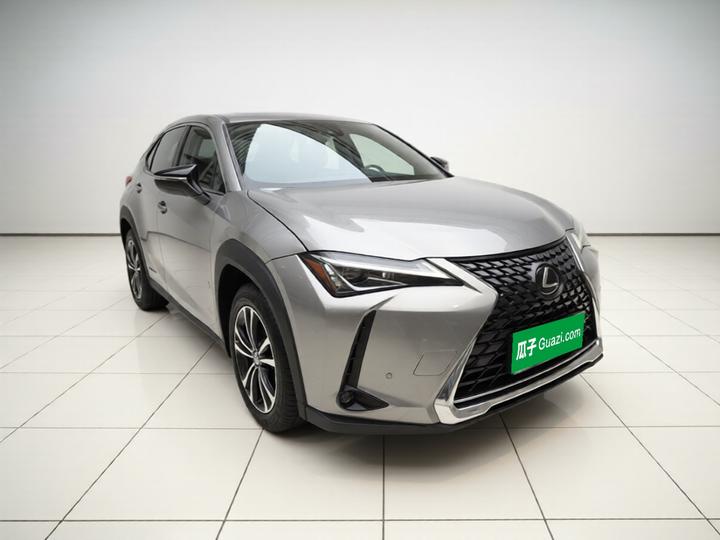 UX 2020 260h photo 3
