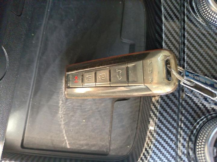 300 2021 Off-road 2.0T Conqueror photo 8