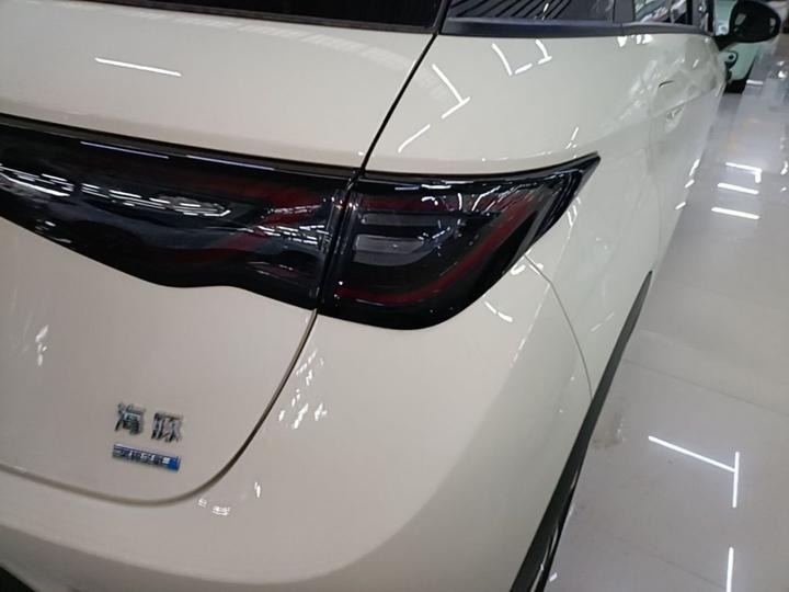 Dolphin 2025 ADAS 410km Fashion photo 7