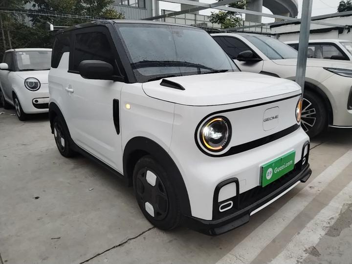 2025 210km Panda photo 3
