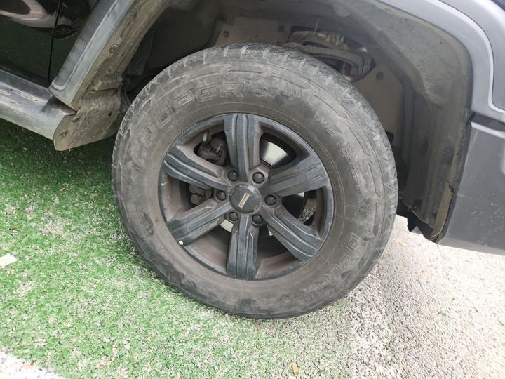 300 2021 Off-road 2.0T Conqueror photo 8