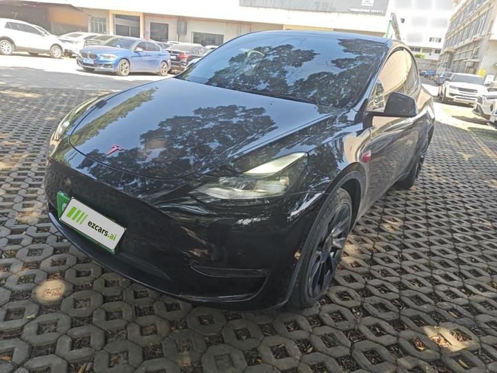 Model Y 2021 Standard Range RWD