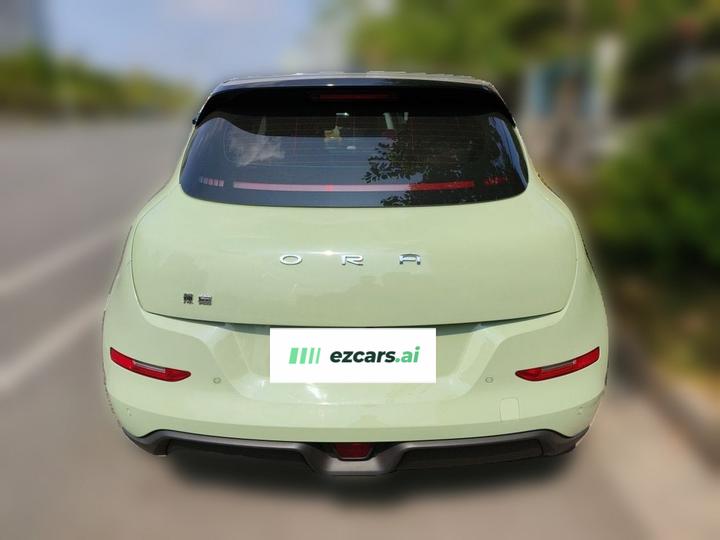 Good Cat 2023 401km Standard Range Luxury LFP photo 5