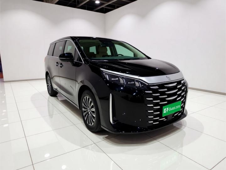 2025 DM-i 1.5T 180km photo 3