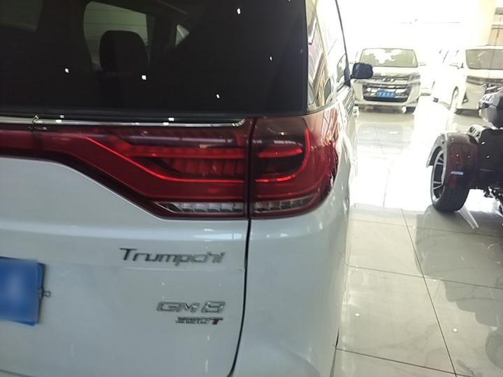 GAC Trumpchi M8 2020 Pilot 390T Premium photo 7
