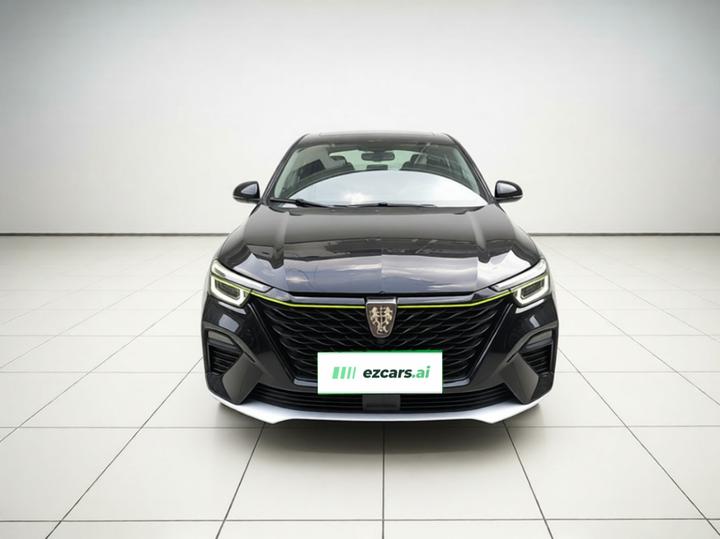 RX5 EV 2020 ePLUS Luxury photo 2