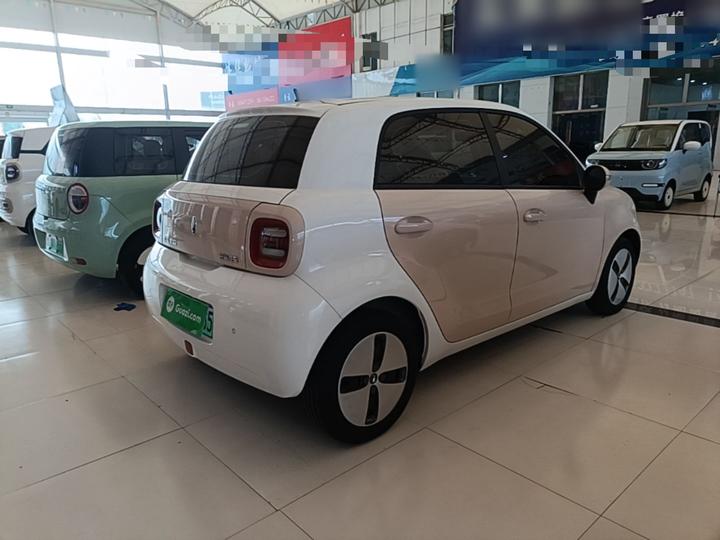 2022 301km LFP photo 4