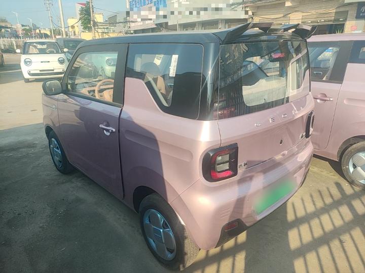 2024 Panda mini 200km Endurance Bear photo 4