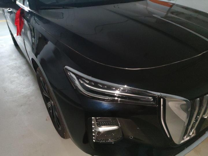 H5 PHEV 2025 130 photo 7