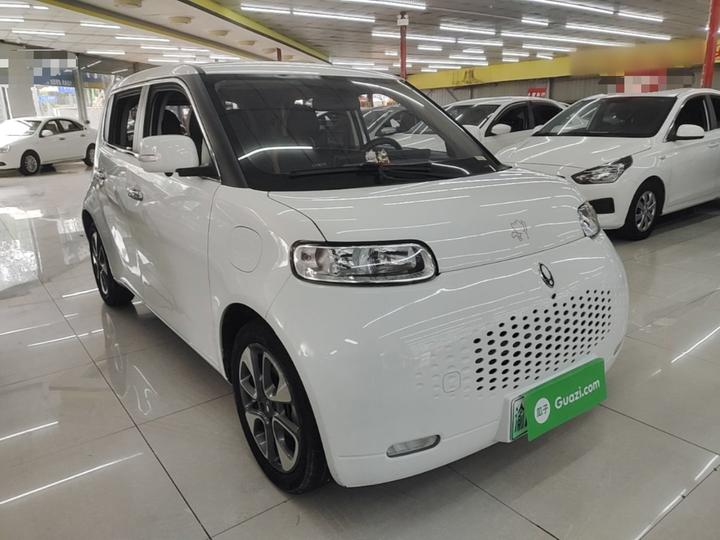 2022 Upgraded 305km Luxury NCM photo 3