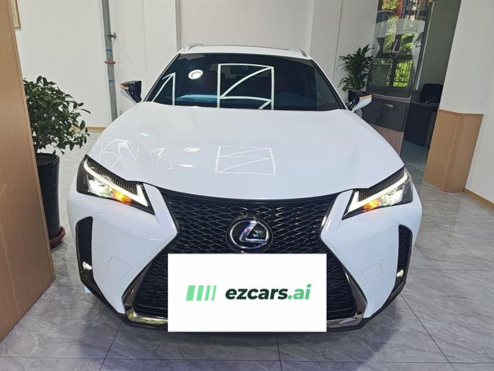 UX 2020 Facelift 200 F SPORT photo 2