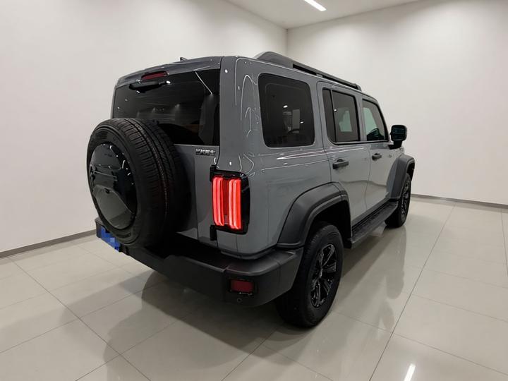 300 2021 Off-road 2.0T Conqueror photo 4