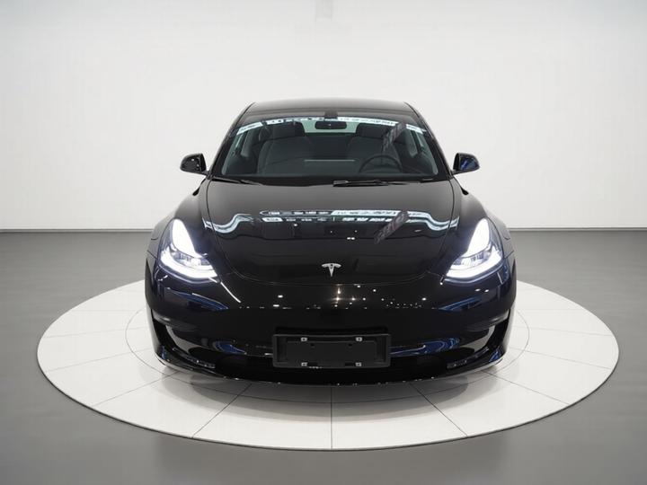 Model 3 2022 RWD photo 2