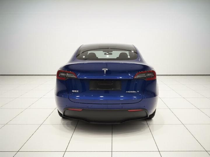 Model Y 2022 Long Range AWD photo 5