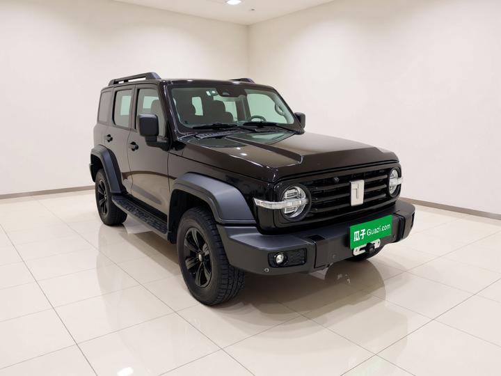 300 2021 Off-road 2.0T Conqueror photo 3