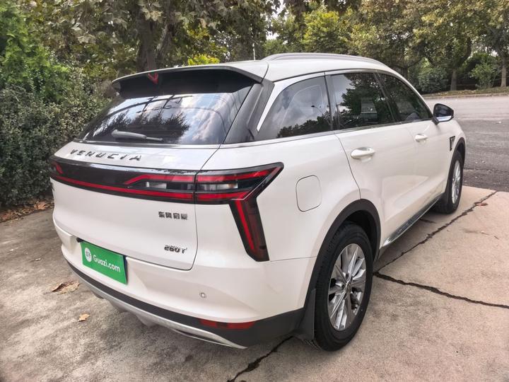 2020 260T AT 48V Mild Hybrid photo 4