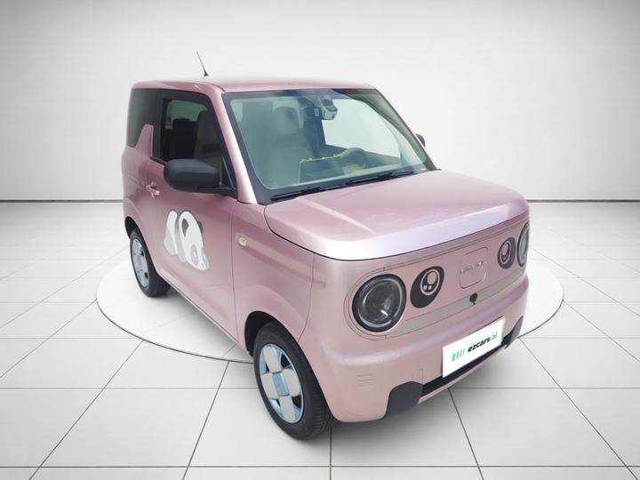 2023 Panda mini 200km Endurance Bear photo 3