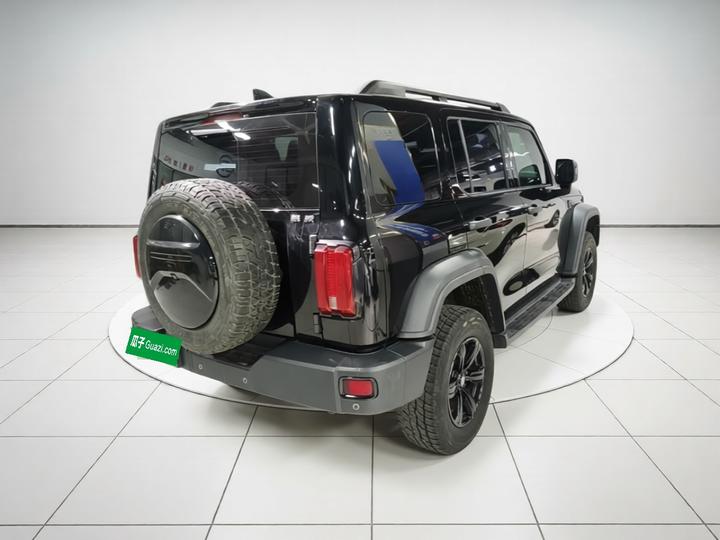 300 2021 Off-road 2.0T Conqueror photo 6