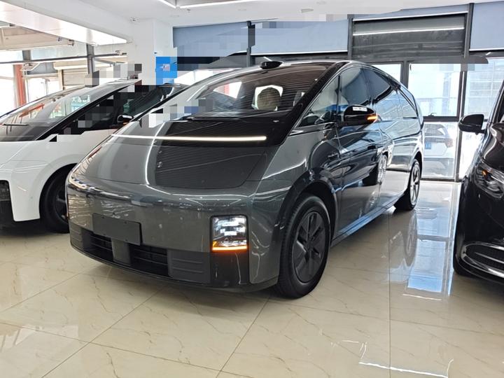 Li MEGA 2025 Home Family Special