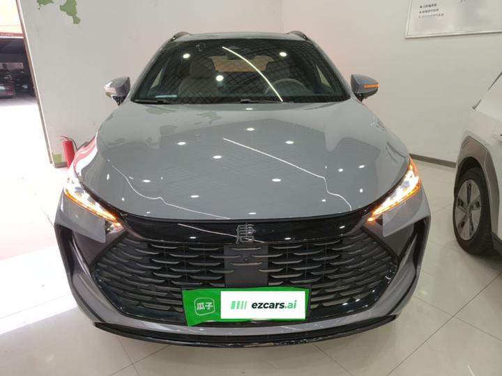 Tang EV 2025 DM-i 115KM Noble photo 2