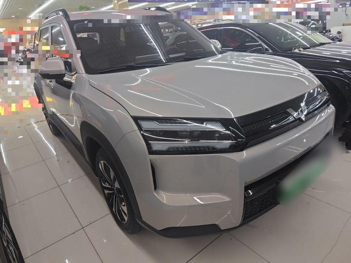 560 EV 2026 EV 500km Luxury photo 3