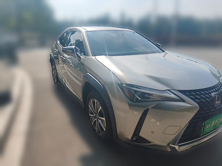 UX EV 2020 300e photo 3