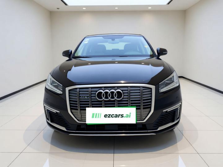 Q2L e-tron 2019 Q2L e-tron EV Smart photo 2
