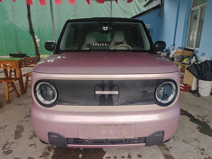 2024 Panda mini 200km Endurance Bear photo 2