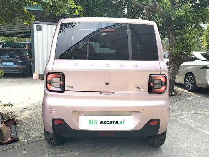 2023 Panda mini 200km Endurance Bear photo 5