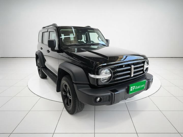 300 2021 Off-road 2.0T Conqueror photo 3
