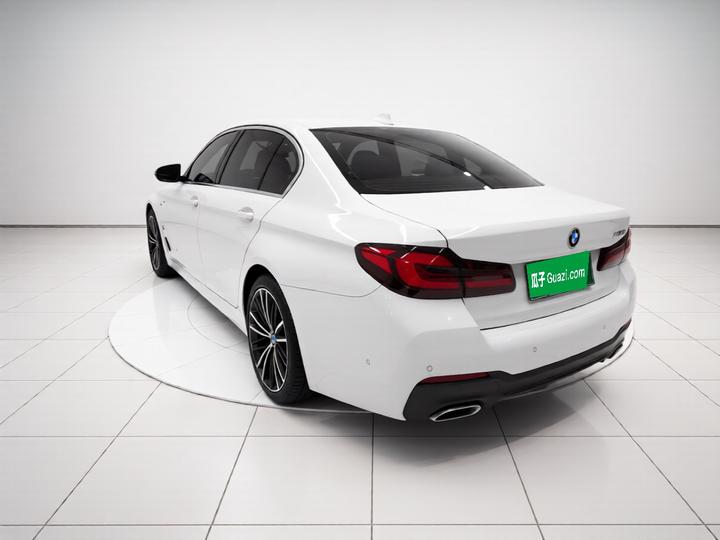 5 Series 2021 530Li Leading M Sport Package photo 4