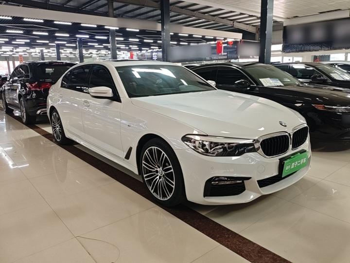 5 Series 2018 530Li Leading M Sport Package photo 3