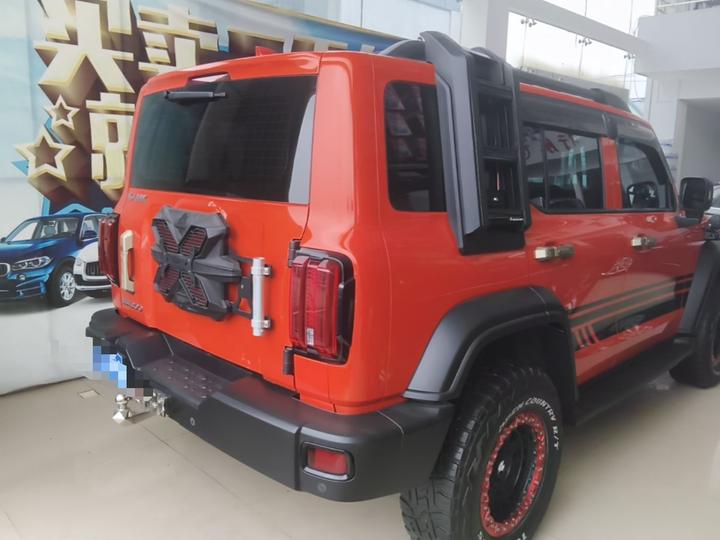 300 2021 Off-road 2.0T Conqueror photo 6