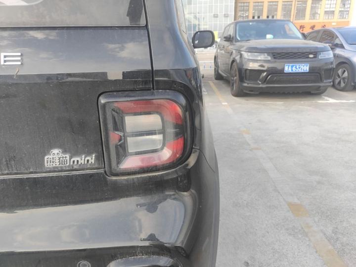 2024 200km Panda photo 7