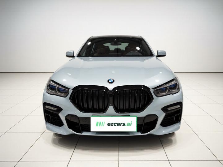 X6 2020 xDrive30i M Sport Package photo 2