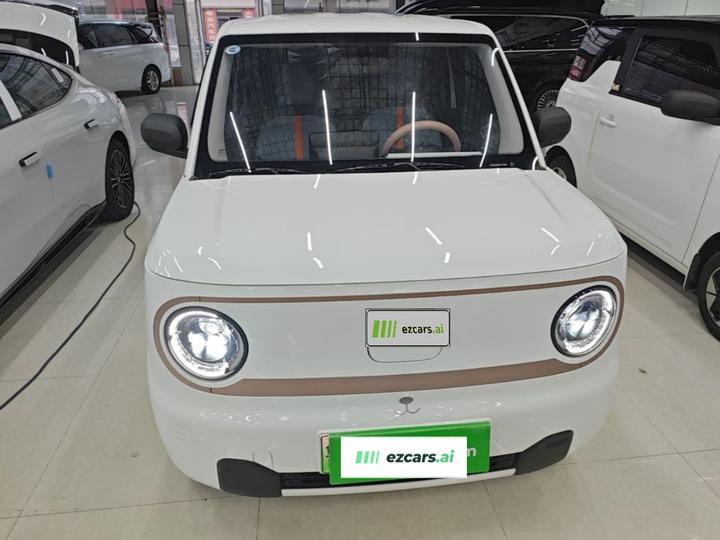 2024 Panda mini 200km Endurance Bear photo 2