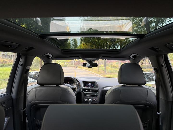 Q5 Imported 2014 SQ5 3.0 TFSI quattro photo 8