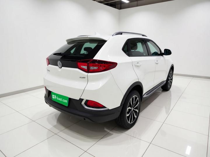 GS 2015 1.5TGI TST Luxury photo 6