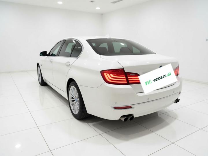 5 Series 2017 525Li Luxury Design Package photo 4