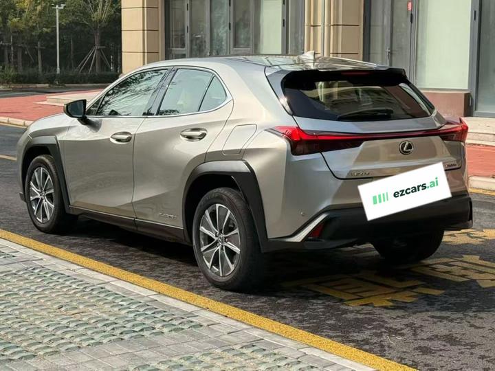 UX EV 2020 300e photo 4