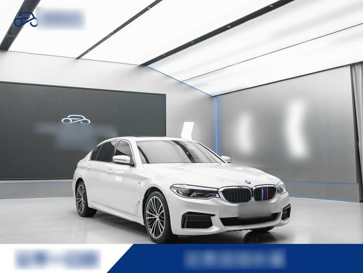 5 Series 2020 530Li Leading M Sport Package photo 3
