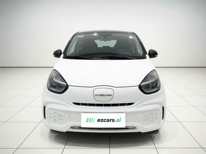 Clever R 2021 302km 4-Seater photo 2